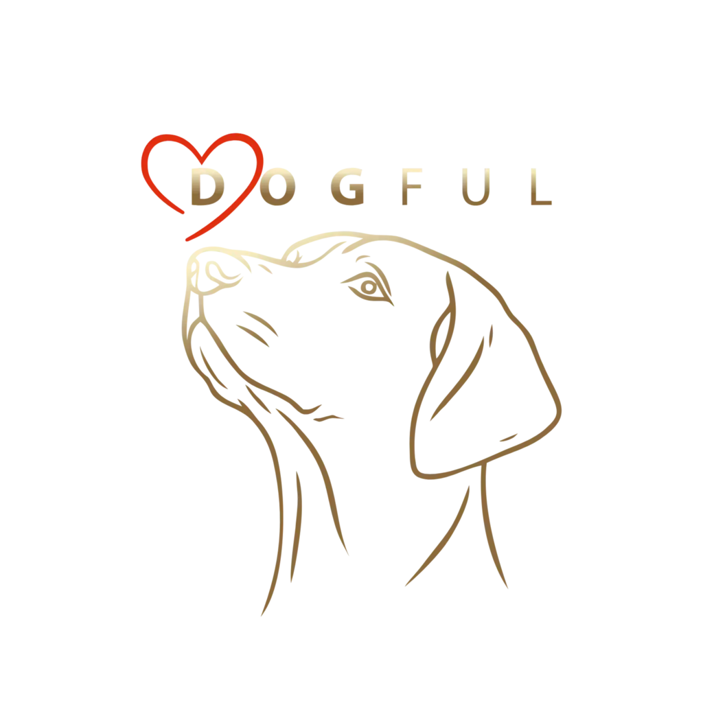 Dogful